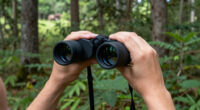 9 Best Binoculars for Wildlife Photographers in 2026